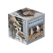 かわいいおもしろい動物フォトキューブ フォトキューブ (裏面アングル)