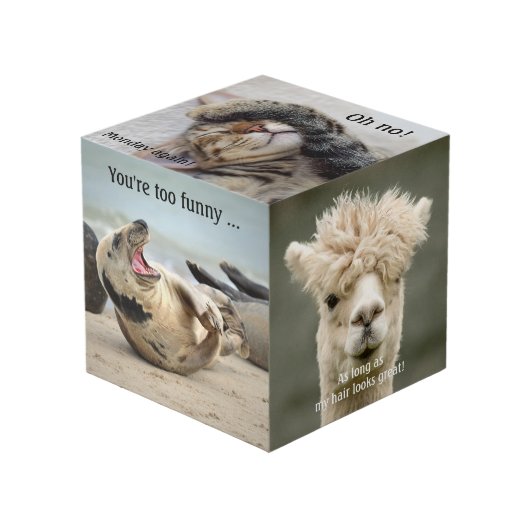 かわいいおもしろい動物フォトキューブ フォトキューブ (正面アングル)