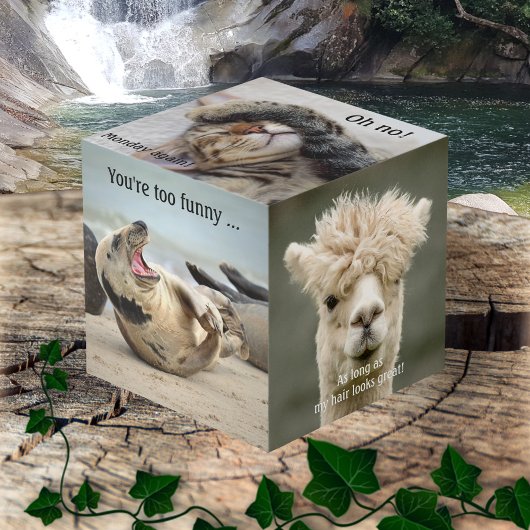 かわいいおもしろい動物フォトキューブ フォトキューブ