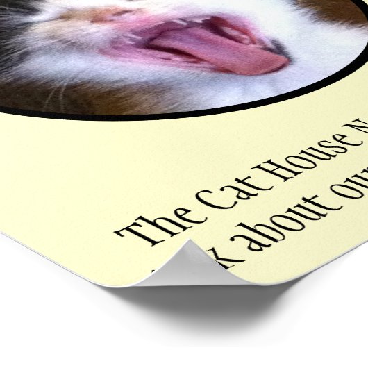 かわいいおもしろい子猫がシェルター猫を手に ポスター (角)