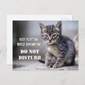 かわいいおもしろい子猫が邪魔をしない ポストカード (正面/裏面)