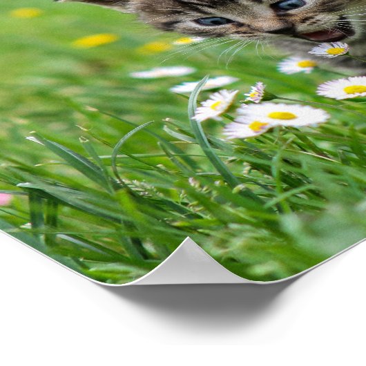 かわいいおもしろい子猫を愛する花 ポスター (角)