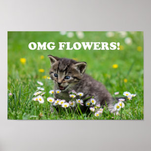 かわいいおもしろい子猫を愛する花 ポスター