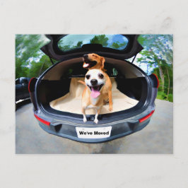 かわいいおもしろい犬が車で移動 ポストカード