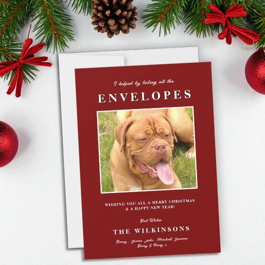 かわいいおもしろい犬レッドホワイトヘリンボーン シーズンカード