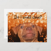 かわいいおもしろい犬誕生日 ポストカード (正面/裏面)