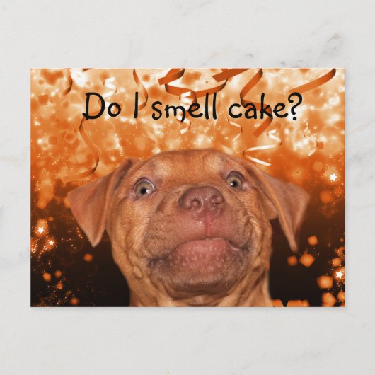 かわいいおもしろい犬誕生日 ポストカード (正面)