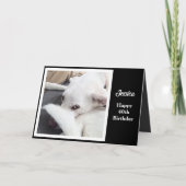 かわいいおもしろい犬40歳の誕生日 カード (正面)