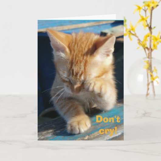 かわいいおもしろい猫ハッピーバースデーグリーティングカード カード (黄色い花)