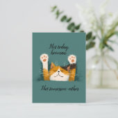 かわいいおもしろい猫昼寝 シーズンポストカード (スタンド正面)