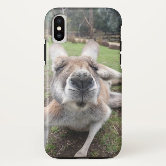 かわいいおもしろい顔カンガルーかわいいズ動物写真 Case-Mate iPhoneケース (裏面)