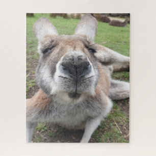 かわいいおもしろい顔カンガルー教育動物写真 ジグソーパズル