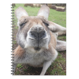かわいいおもしろい顔カンガルー教育動物写真 ノートブック