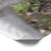 かわいいおもしろい顔カンガルー教育動物写真 ポスター (角)