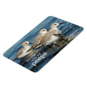 かわいいおもしろい4サンダーリンズサンドピアスアットザビーチ マグネット (左側)