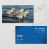 かわいいおもしろい4サンダーリンズサンドピアスアットザビーチ 名刺 (正面/裏面)