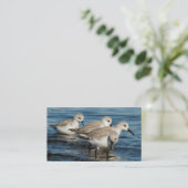 かわいいおもしろい4サンダーリンズサンドピアスアットザビーチ 名刺 (スタンド正面)