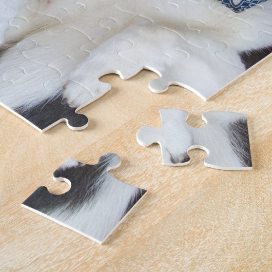 、かわいいおもしろい、コーギーの一見 ジグソーパズル (側面)