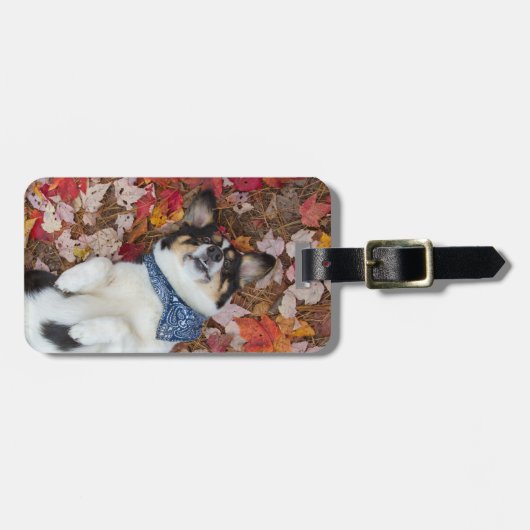 、かわいいおもしろい、コーギーの一見 ラゲッジタグ (正面横)