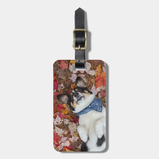 、かわいいおもしろい、コーギーの一見 ラゲッジタグ (正面縦)