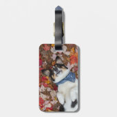 、かわいいおもしろい、コーギーの一見 ラゲッジタグ (裏面縦)