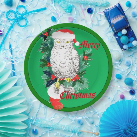 かわいいお洒落クリスマスフクロウストッキングデザイン ペーパープレート (パーティー)