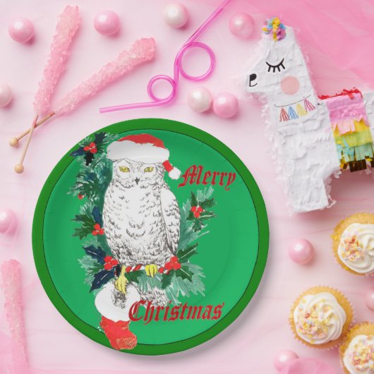 かわいいお洒落クリスマスフクロウストッキングデザイン ペーパープレート (パーティー)