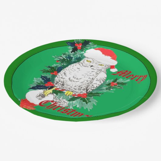 かわいいお洒落クリスマスフクロウストッキングデザイン ペーパープレート (アングル)