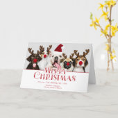 かわいいお祝いのメリークリスマスのタイポグラフィ|の写真 カード (黄色い花)