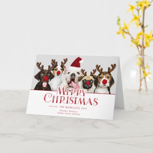 かわいいお祝いのメリークリスマスのタイポグラフィ|の写真 カード (黄色い花)