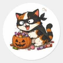 かわいいお菓子泥棒の三毛猫