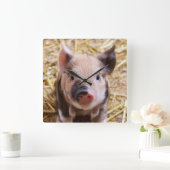 かわいいかわいい愛らしいファームベビー豚の動物 スクエア壁時計 (ホーム)