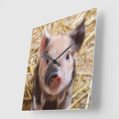 かわいいかわいい愛らしいファームベビー豚の動物 スクエア壁時計 (傾斜)