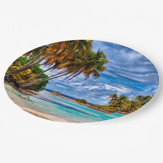 かわいいかわいらし夏ハワイアンビーチ水彩 ペーパープレート (アングル)