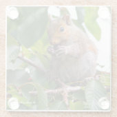 かわいいさくらんぼ選び東灰色リス ガラスコースター (裏面)