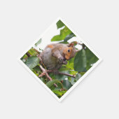 かわいいさくらんぼ選び東灰色リス スタンダードカクテルナプキン (角)