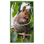 かわいいさくらんぼ選び東灰色リス スモールペーパーバッグ (裏面)