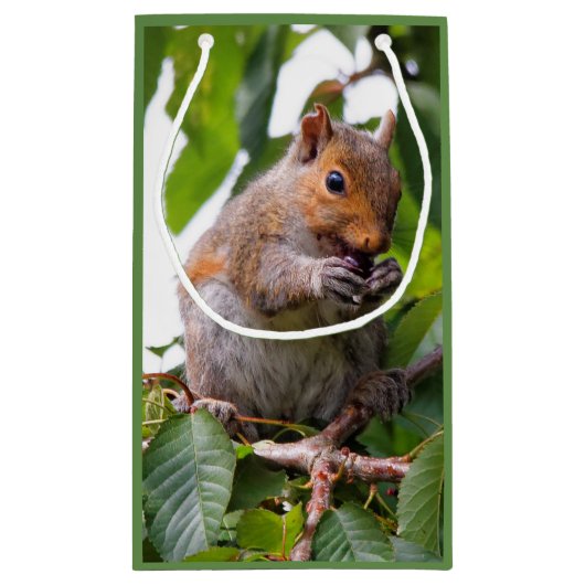 かわいいさくらんぼ選び東灰色リス スモールペーパーバッグ (裏面)