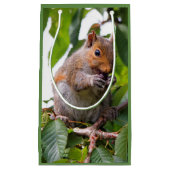 かわいいさくらんぼ選び東灰色リス スモールペーパーバッグ (正面)