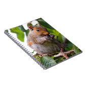 かわいいさくらんぼ選び東灰色リス ノートブック (右側)