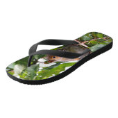 かわいいさくらんぼ選び東灰色リス ビーチサンダル (アングル)