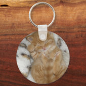 かわいいすごいジンジャー眠る子猫 キーホルダー (正面)