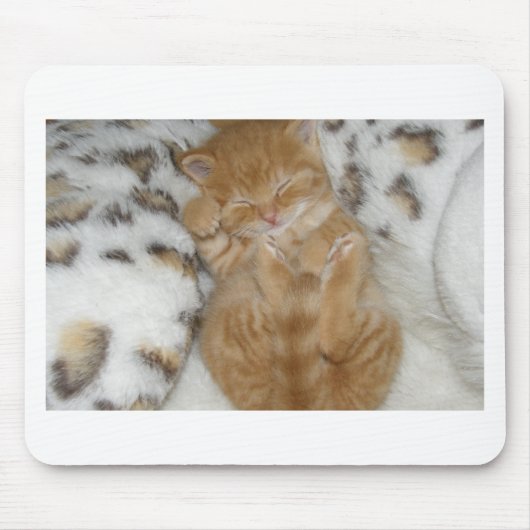 かわいいすごいジンジャー眠る子猫 マウスパッド (正面)