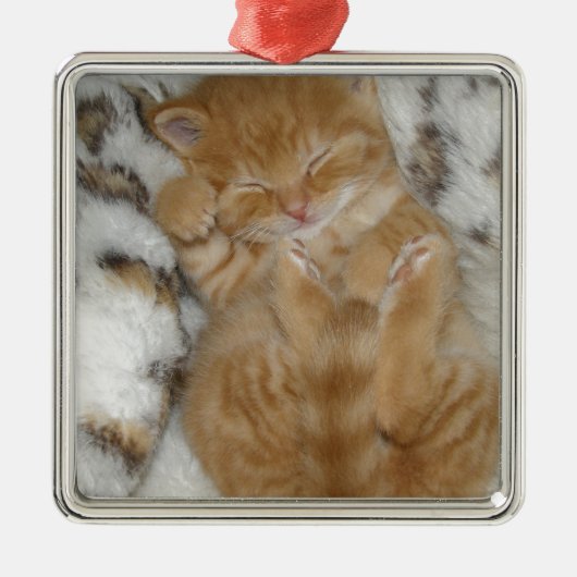 かわいいすごいジンジャー眠る子猫 メタルオーナメント (正面)