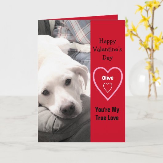 かわいいすごいバレンタインデーの白い子犬の赤 カード (黄色い花)