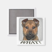 かわいいすごい子犬の磁石 マグネット (正面/裏面)