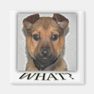 かわいいすごい子犬の磁石 マグネット