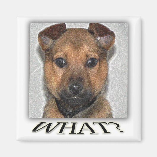 かわいいすごい子犬の磁石 マグネット (正面)