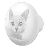 かわいいすごい子猫ポートレート写真 セラミックノブ (右)