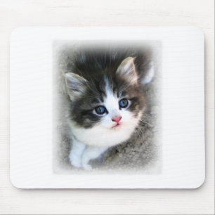 かわいいすごい子猫ポートレート写真 マウスパッド